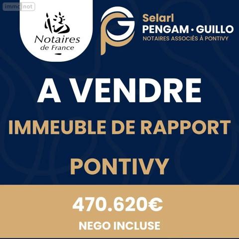 Achat - Immeuble Pontivy 56300 226 m 2 2000 m 2