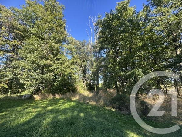 Maison à vendre  7 pièces - 219 m2 ETAIS LA SAUVIN - 89