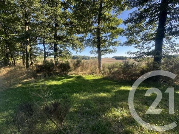 Maison à vendre  7 pièces - 219 m2 ETAIS LA SAUVIN - 89