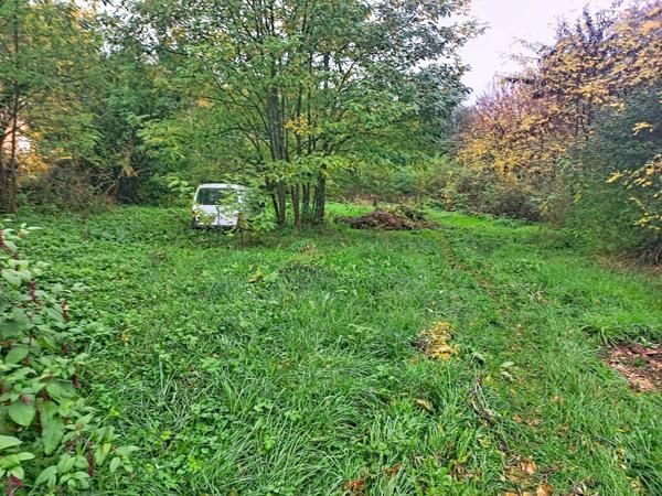 Terrain 4 278 m² dont 700 m² constructibles – Groléjac – Exclusivité SAFTI