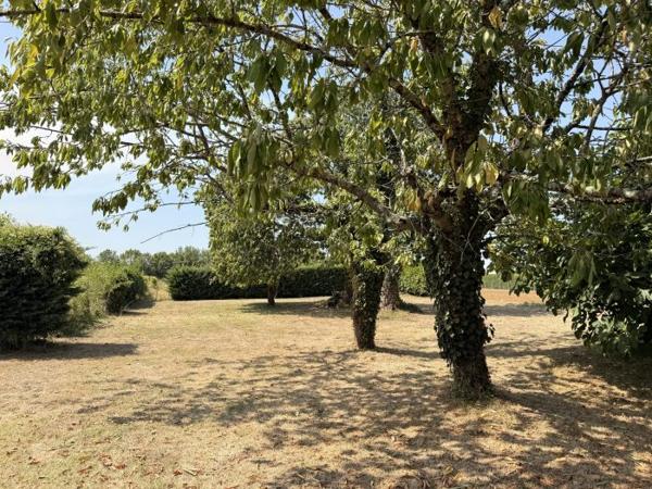Belle demeure Charentaise avec ses dépendances et son parc de 5000 m²