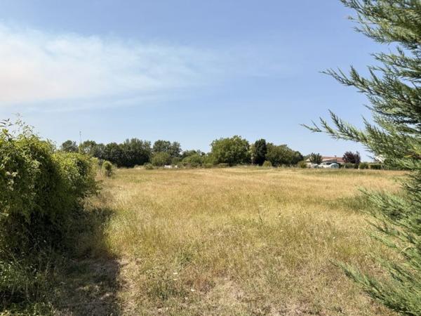 Belle demeure Charentaise avec ses dépendances et son parc de 5000 m²