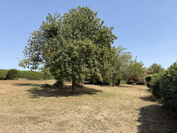 Belle demeure Charentaise avec ses dépendances et son parc de 5000 m²