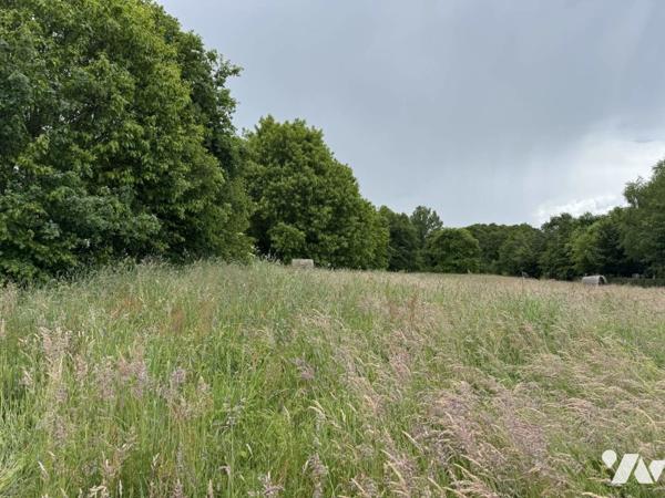 Vente Terrain â bâtir
