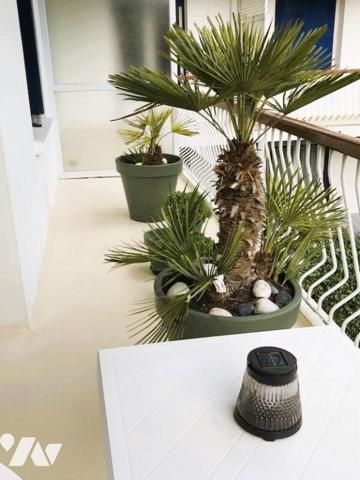 APPARTEMENT VUE MER 3 CHAMBRES