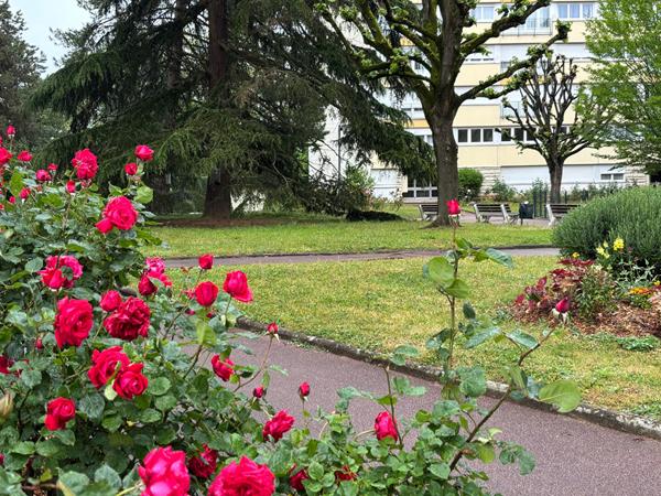Appartement Yerres 2 pièce(s) 48 m2, proche gare et centre ville
