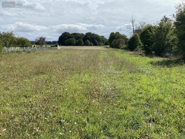 Terrain à Batir à vendre à Amilly dans le Loiret (45200), ref : 45050-1353