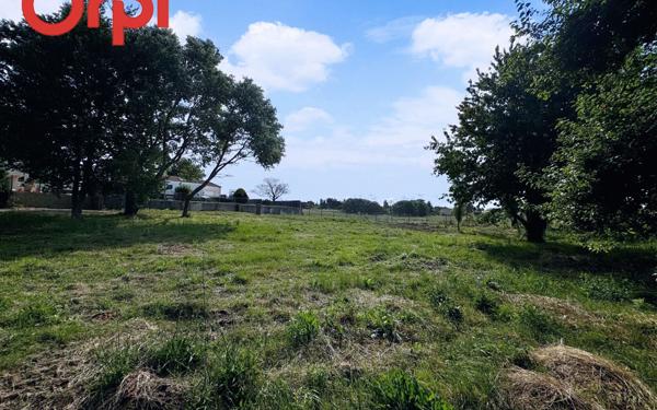 Terrain à vendre    Port-des-Barques