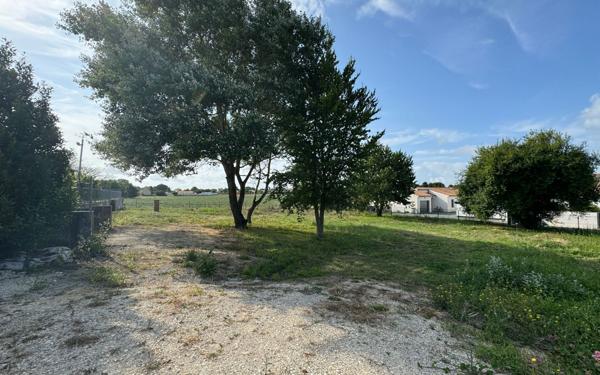 Terrain à vendre    Port-des-Barques