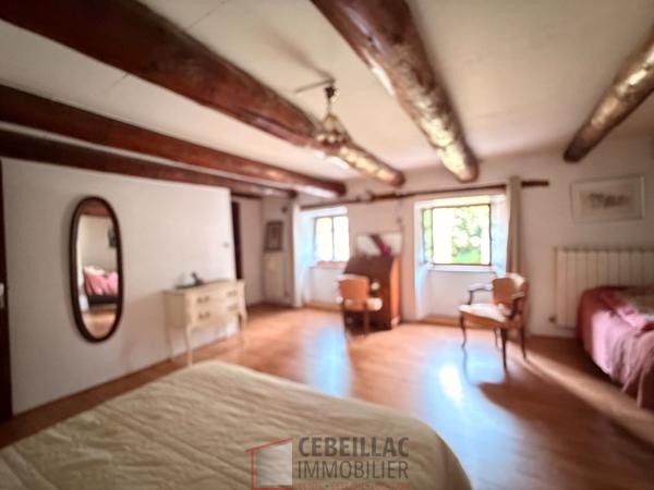 Maison Saint Etienne Sur Blesle 6 pièce(s) 200 m2