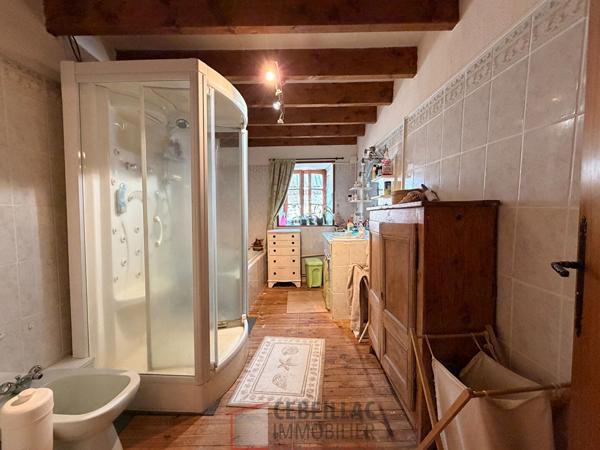 Maison Saint Etienne Sur Blesle 6 pièce(s) 200 m2