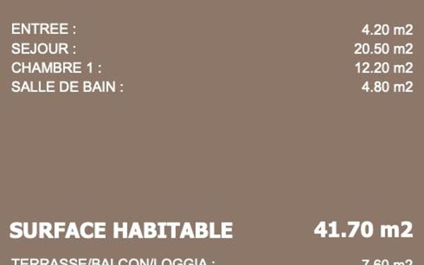 Appartement à vendre    2 pièces • 41,70 m2 Neuville-sur-Saône