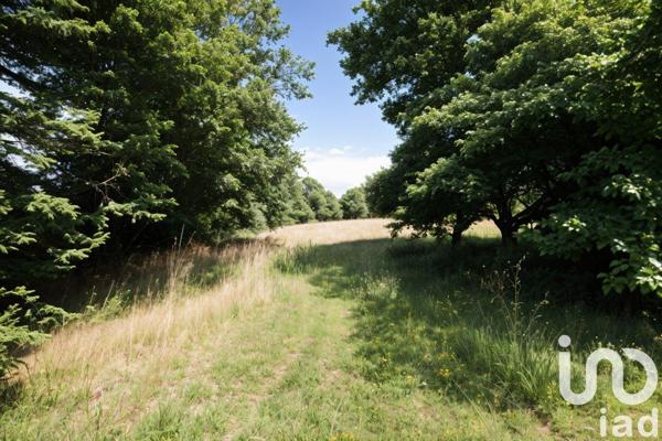 Longère 8 pièces de 209 m² à Savigny-sur-Braye (41360)