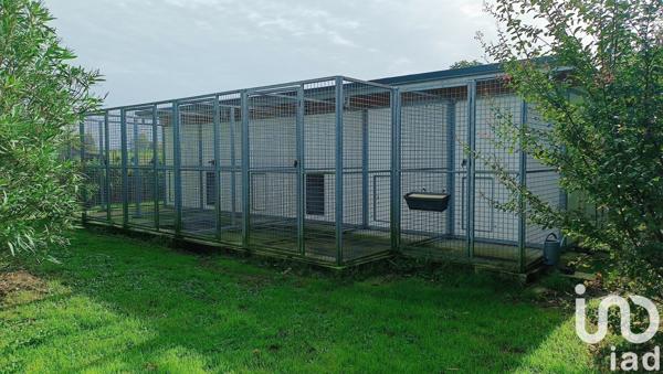 Maison à vendre 6 pièces 233 m² Montendre