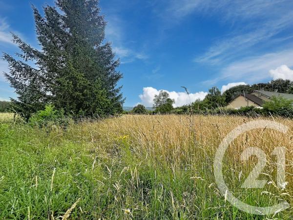 Terrain à vendre  2281 m 2   VILLENEUVE SUR YONNE  - 89