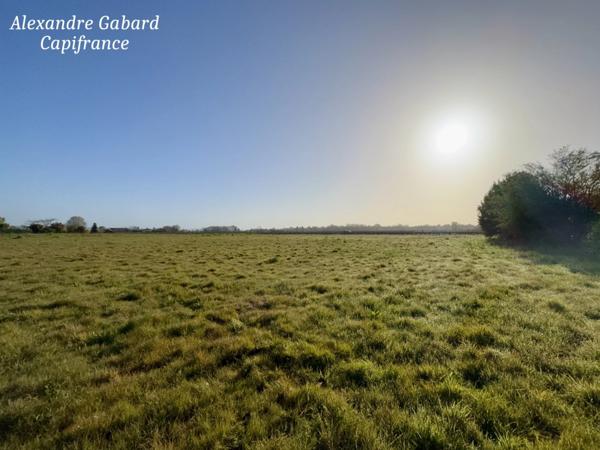 Terrain constructible aux portes de Langon - Environnement privilégié