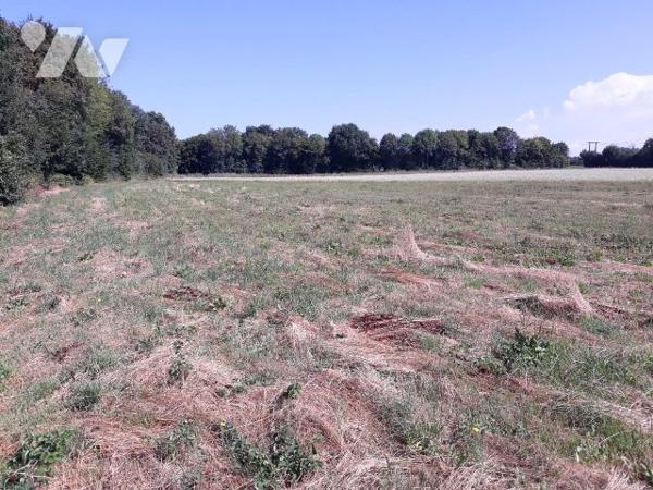 Terrain à vendre Ivoy-le-Pré