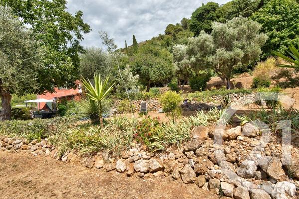 Terrain à vendre  11600 m2 ASPREMONT - 06