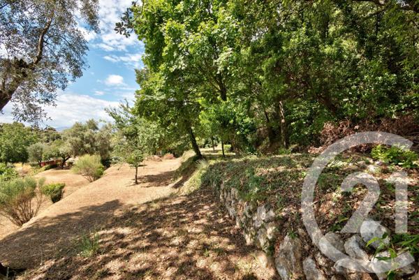 Terrain à vendre  11600 m2 ASPREMONT - 06