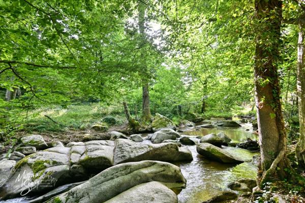 Ancien Moulin sur 1,3 Ha de terrain à MESSIMY (69)