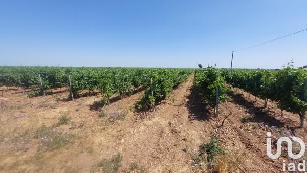 Terrain à vendre 10 954 m² Générac