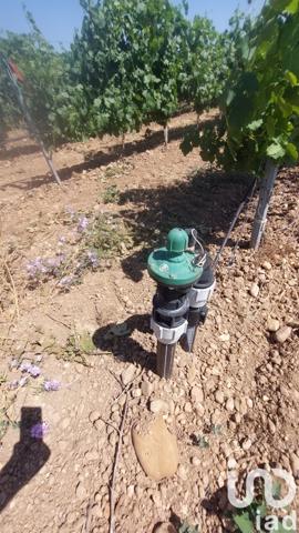 Terrain à vendre 10 954 m² Générac