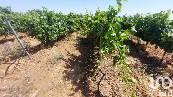 Terrain à vendre 10 954 m² Générac