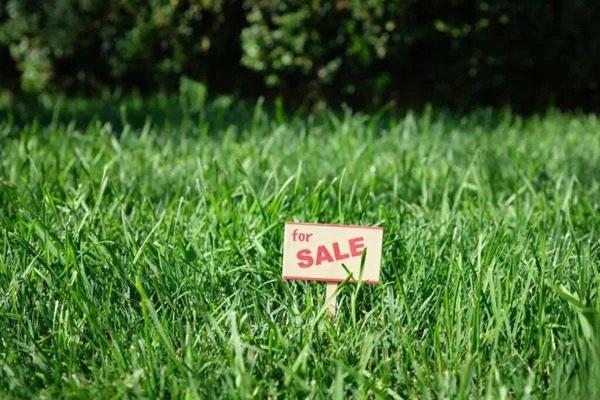 Terrain à SAINT-BONNET-LE-CHATEAU, 42380 - 5245m²