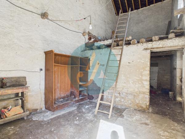 Mesves-sur-Loire (58400) Maison de village 2 chambres avec dépendances et jardin.