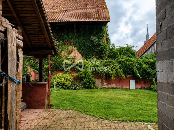 Niedernai – Authentique maison alsacienne avec grange de 400 m²