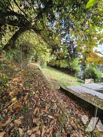 ST MARTIN DES CHAMPS