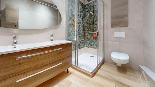 Appartement avec terrasse hypercentre de Grenoble