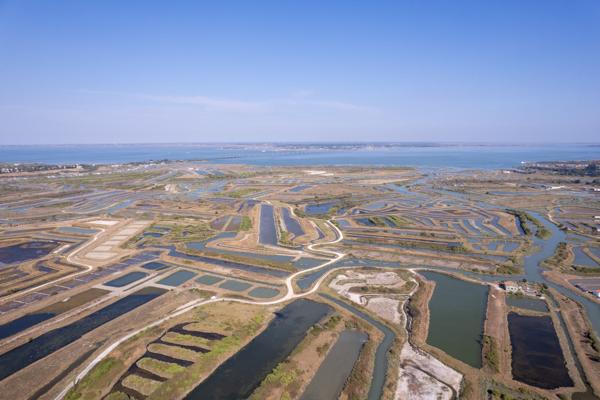 Vente Maison de luxe Le Grand-Village-Plage 5 Pièces 143 m²