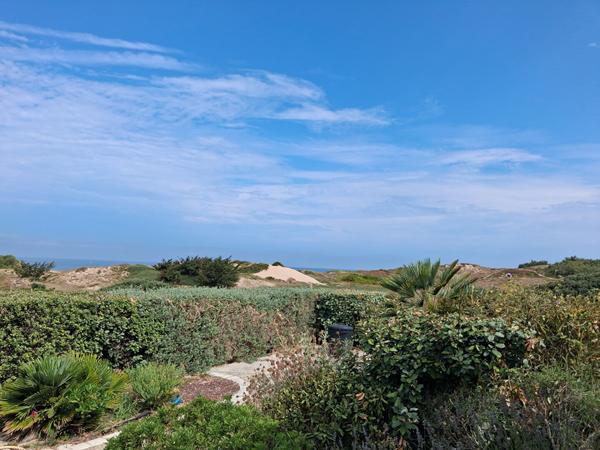 Vue mer et dunes - un écrin de sérénité face à l'Océan