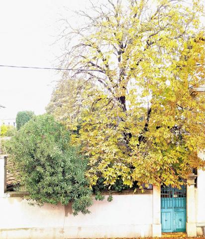 GRAND T3 AVEC GARAGE A PROXIMITE DU JARDIN PLANTE