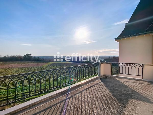 Maison 10 pièces - 315 m² Bien prestige