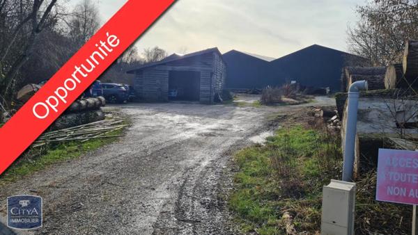 Local professionnel à vendre