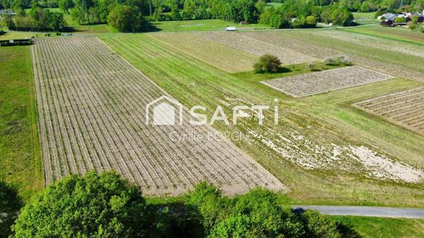 Superbes parcelles avec vignes entretenues et terres agricoles