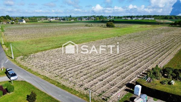 Superbes parcelles avec vignes entretenues et terres agricoles