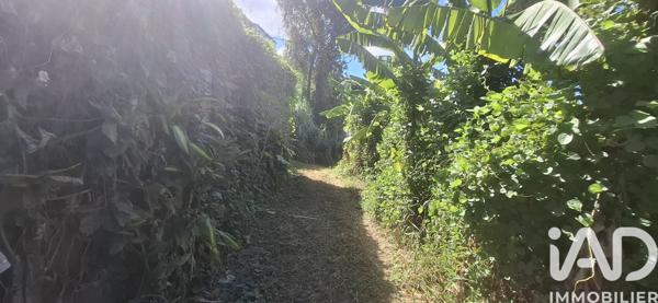 Terrain à vendre 1 618 m² Saint-Pierre