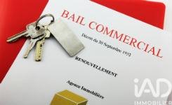 Droit au bail à vendre 39 m² Fontainebleau