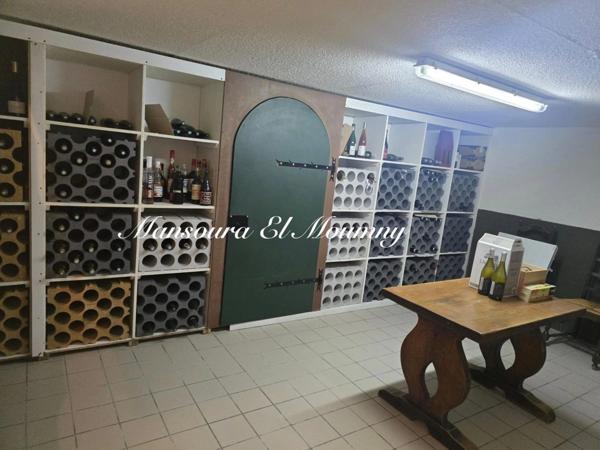 ✨ PROPRIÉTÉ D'EXCEPTION — DEMEURE DE PRESTIGE ✨ Chambray-lès-Tours (37)