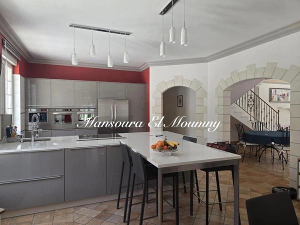 ✨ PROPRIÉTÉ D'EXCEPTION — DEMEURE DE PRESTIGE ✨ Chambray-lès-Tours (37)