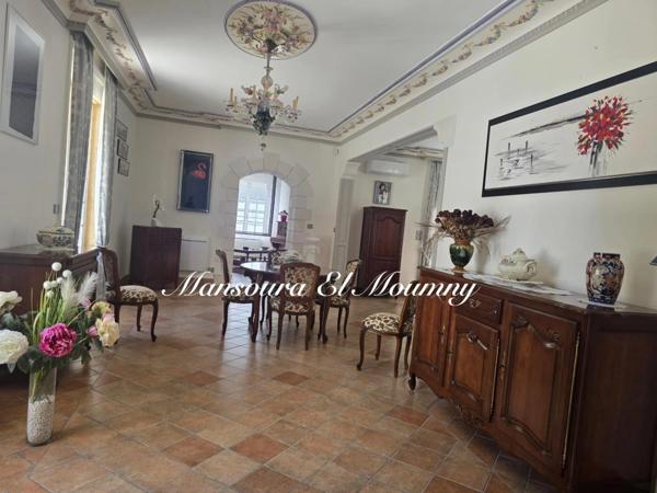 ✨ PROPRIÉTÉ D'EXCEPTION — DEMEURE DE PRESTIGE ✨ Chambray-lès-Tours (37)