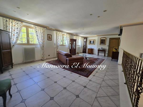 ✨ PROPRIÉTÉ D'EXCEPTION — DEMEURE DE PRESTIGE ✨ Chambray-lès-Tours (37)