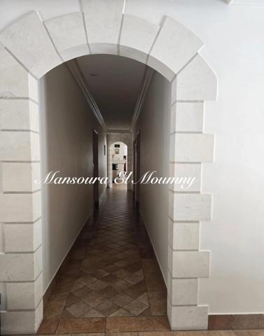 ✨ PROPRIÉTÉ D'EXCEPTION — DEMEURE DE PRESTIGE ✨ Chambray-lès-Tours (37)