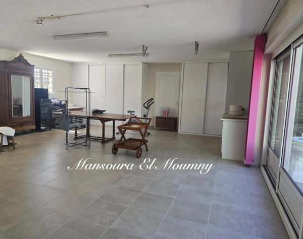 ✨ PROPRIÉTÉ D'EXCEPTION — DEMEURE DE PRESTIGE ✨ Chambray-lès-Tours (37)