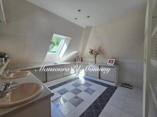 ✨ PROPRIÉTÉ D'EXCEPTION — DEMEURE DE PRESTIGE ✨ Chambray-lès-Tours (37)