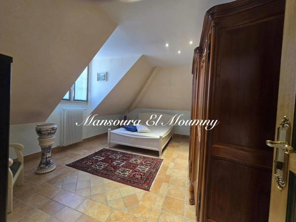 ✨ PROPRIÉTÉ D'EXCEPTION — DEMEURE DE PRESTIGE ✨ Chambray-lès-Tours (37)