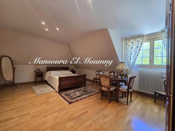 ✨ PROPRIÉTÉ D'EXCEPTION — DEMEURE DE PRESTIGE ✨ Chambray-lès-Tours (37)